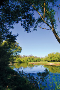 Murray River near Towong, Victoria