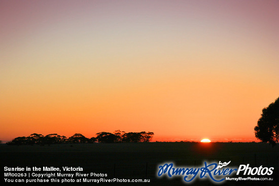 Sunrise in the Mallee, Victoria