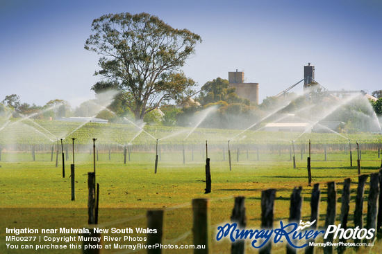 Irrigation near Mulwala, New South Wales