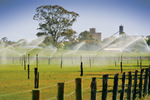 Irrigation near Mulwala, New South Wales