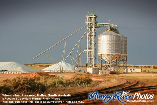 Wheat silos, Pinnaroo, Mallee, South Australia