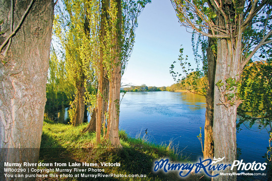 Murray River down from Lake Hume, Victoria