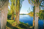 Murray River down from Lake Hume, Victoria