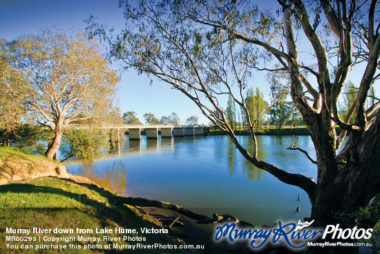 Murray River down from Lake Hume, Victoria