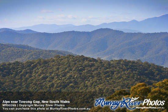 Alps near Towong Gap, New South Wales