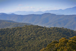 Alps near Towong Gap, New South Wales