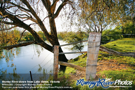 Murray River down from Lake Hume, Victoria