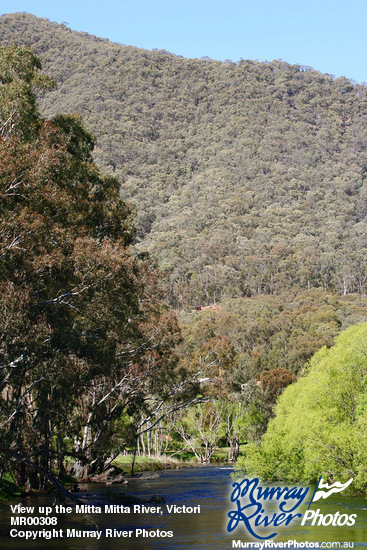 View up the Mitta Mitta River, Victoria