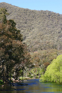 View up the Mitta Mitta River, Victoria