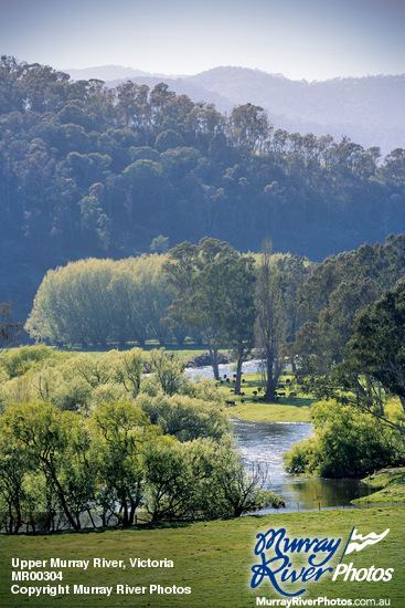 Upper Murray River, Victoria