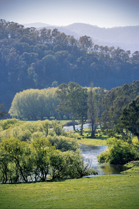 Upper Murray River, Victoria