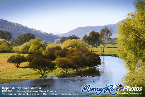 Upper Murray River, Victoria