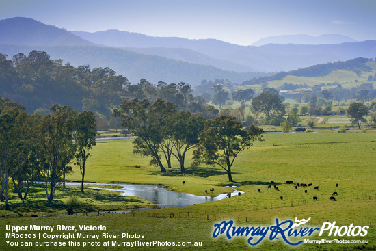 Upper Murray River, Victoria