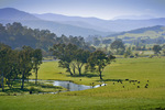 Upper Murray River, Victoria