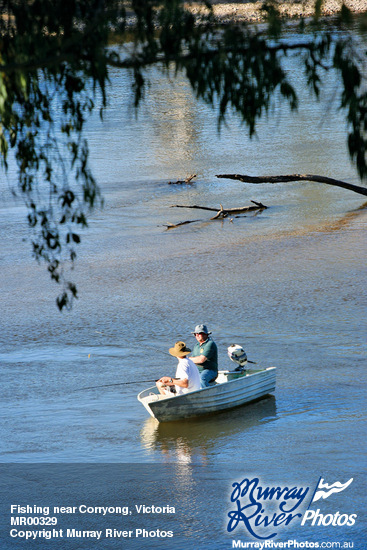 Fishing near Corryong, Victoria