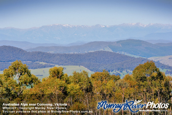 Australian Alps near Corryong, Victoria