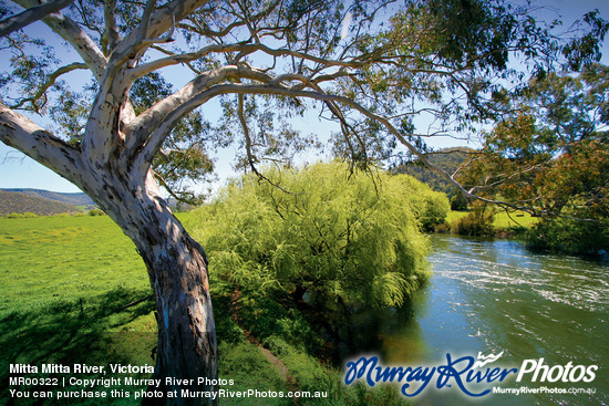 Mitta Mitta River, Victoria