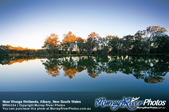 Near Wonga Wetlands, Albury, New South Wales
