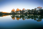 Near Wonga Wetlands, Albury, New South Wales