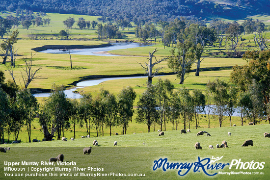 Upper Murray River, Victoria