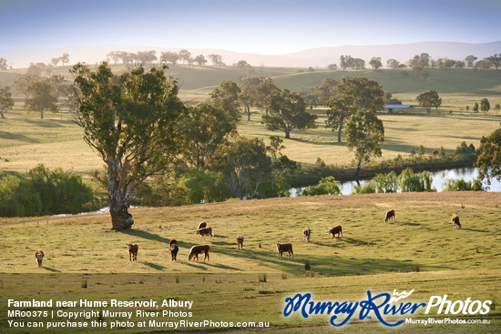 Farmland near Hume Reservoir, Albury