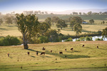 Farmland near Hume Reservoir, Albury