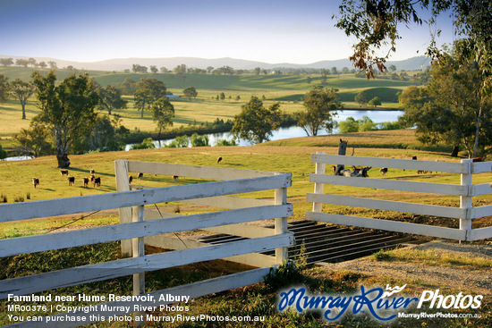 Farmland near Hume Reservoir, Albury