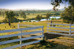 Farmland near Hume Reservoir, Albury