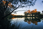 Sunset near Wonga Wetlands, Albury