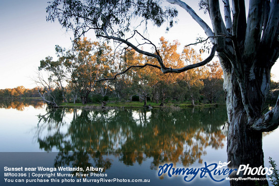 Sunset near Wonga Wetlands, Albury