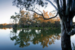 Sunset near Wonga Wetlands, Albury