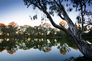 Sunset near Wonga Wetlands, Albury