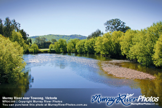 Murray River near Towong, Victoria