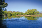 Murray River near Towong, Victoria