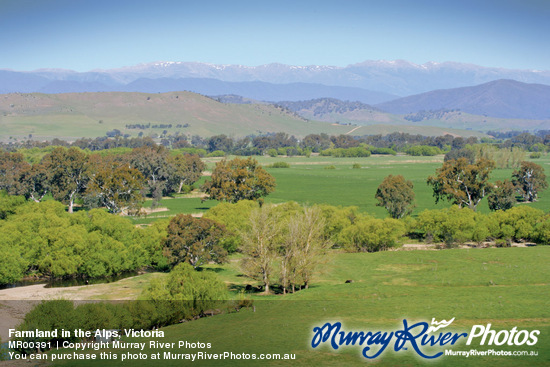 Farmland in the Alps, Victoria