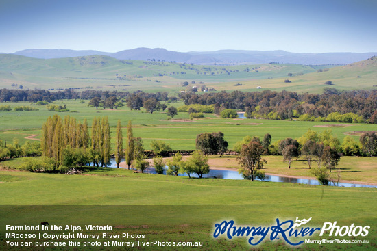 Farmland in the Alps, Victoria