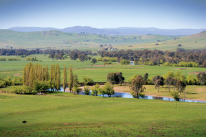 Farmland in the Alps, Victoria