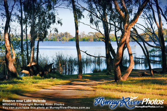 Reserve near Lake Mulwala