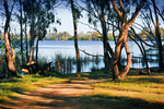 Reserve near Lake Mulwala