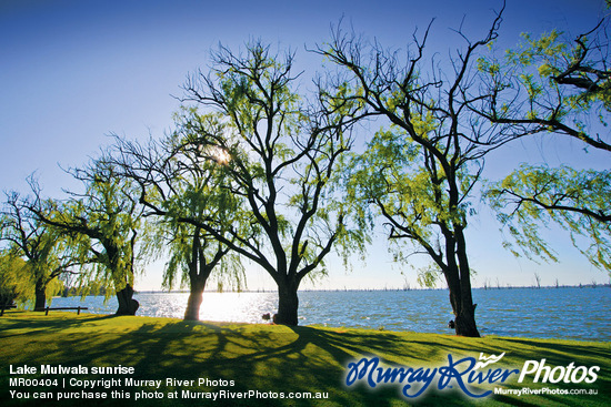 Lake Mulwala sunrise