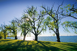 Lake Mulwala sunrise