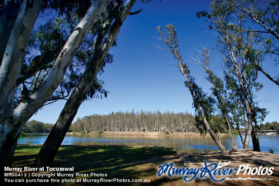 Murray River at Tocumwal