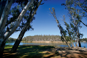 Murray River at Tocumwal