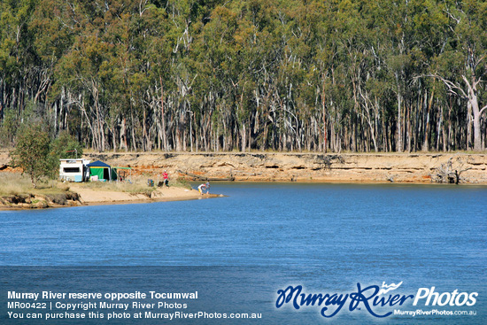 Murray River reserve opposite Tocumwal