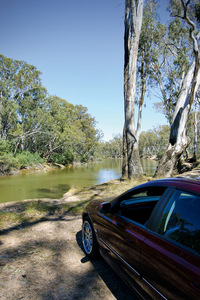 View of Murray River between Tocumwal and Mathoura