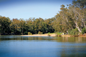 Murray River reserve opposite Tocumwal