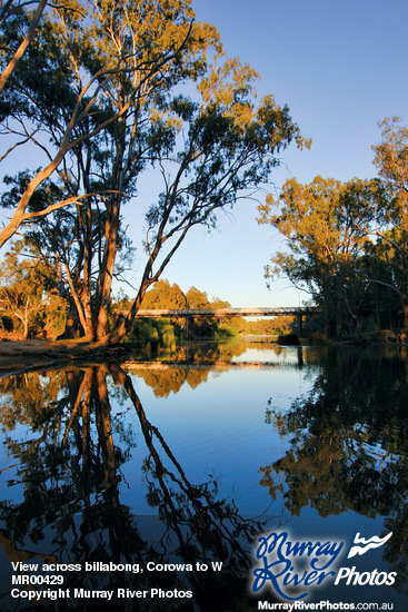 View across billabong, Corowa to Wahgunyah, New South Wales