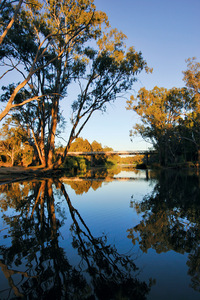 View across billabong, Corowa to Wahgunyah, New South Wales