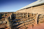 Mungo Woolshed, New South Wales