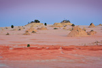 Mungo National Park